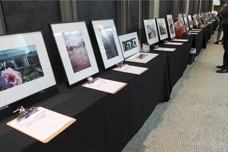 CEPA-Gallery-Visions-of-Greater-Buffalo-(2)-2013-min