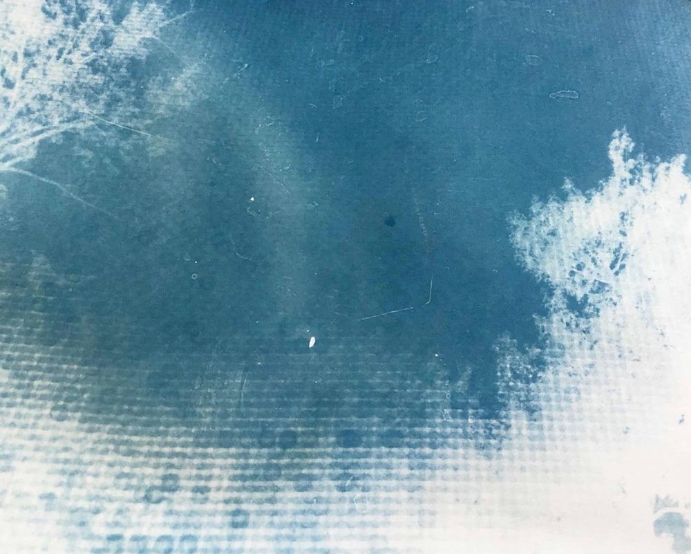 cepa-gallery-youth-class-cyanotype-elias2-min