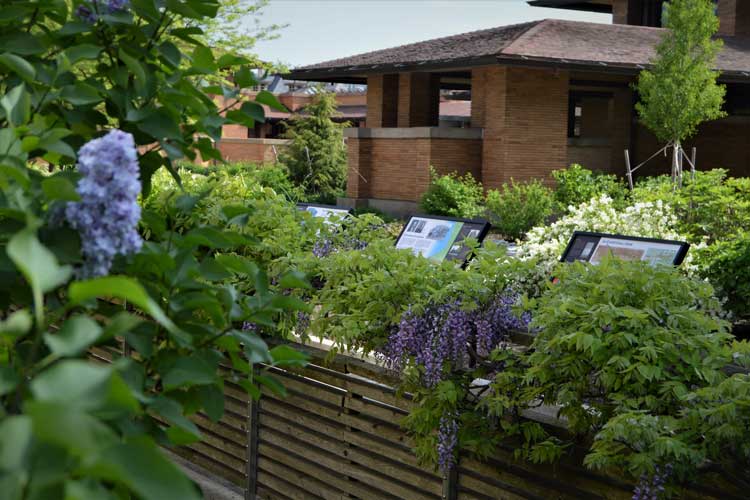 Springtime Photo Walk at the Martin House Gardens