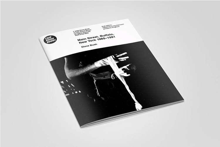 Main Street, Buffalo, NY, 1980 - 1981 by Diane Bush